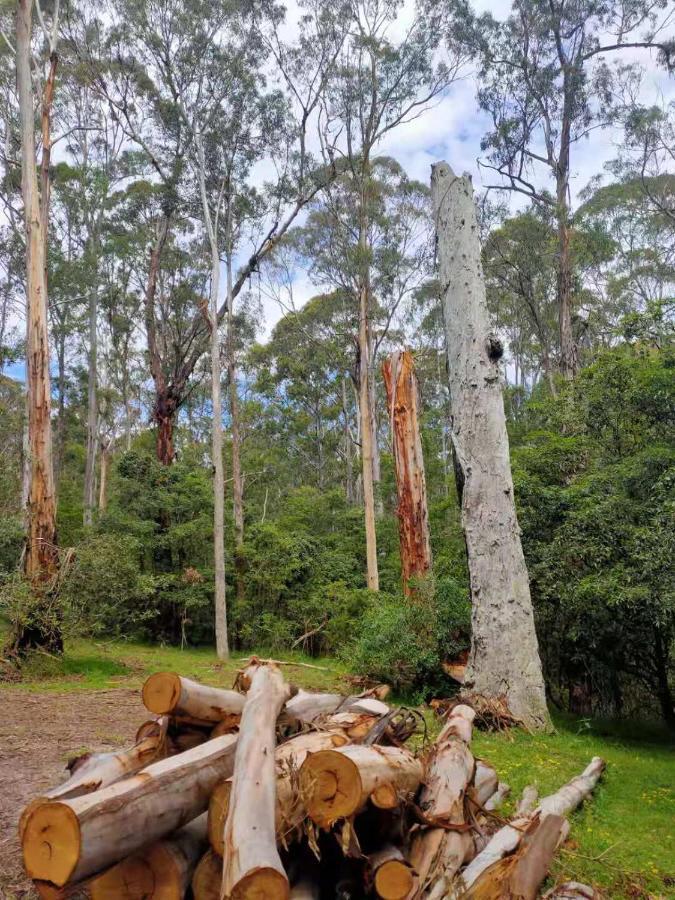 Lakes Entrance Log Cabins Dış mekan fotoğraf