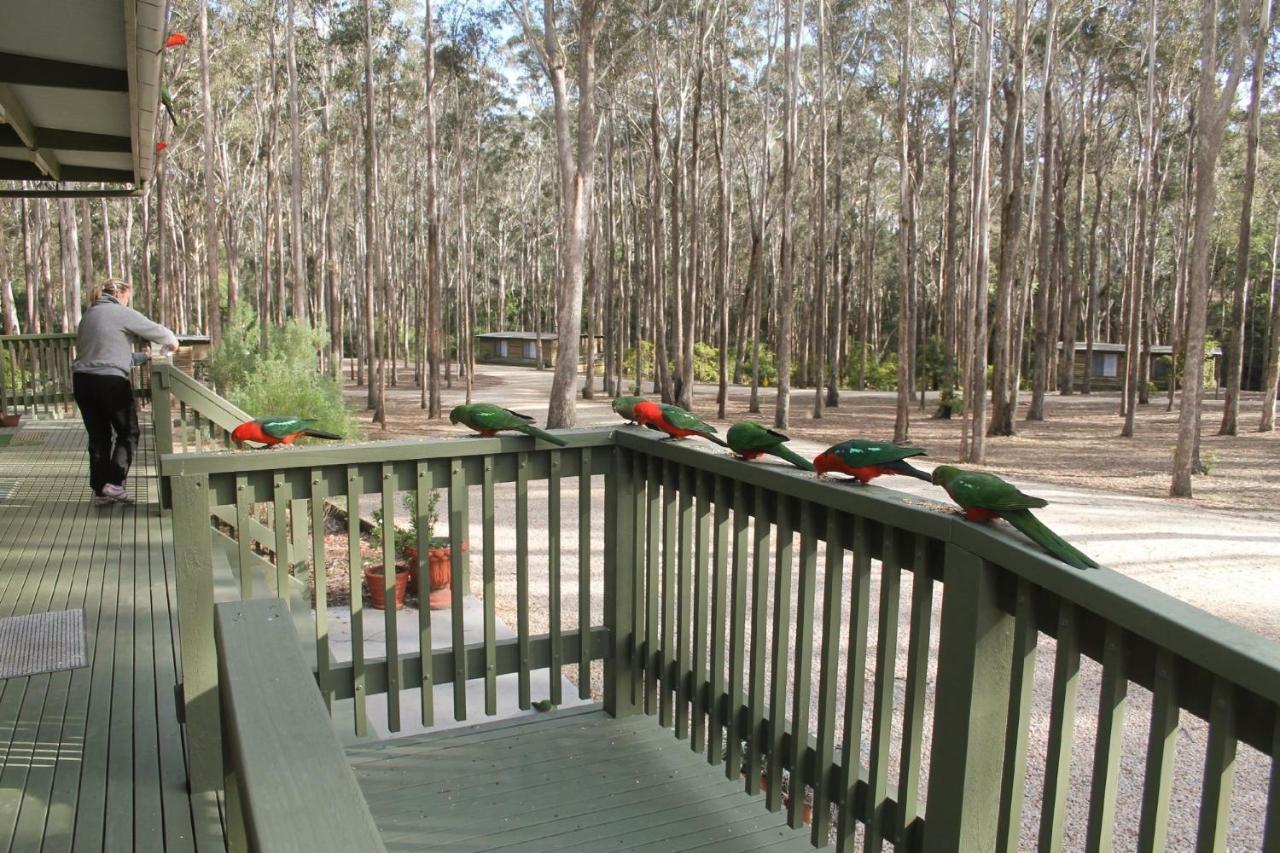 Lakes Entrance Log Cabins Dış mekan fotoğraf