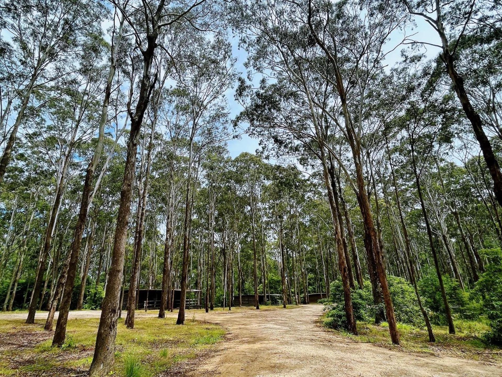 Lakes Entrance Log Cabins Dış mekan fotoğraf